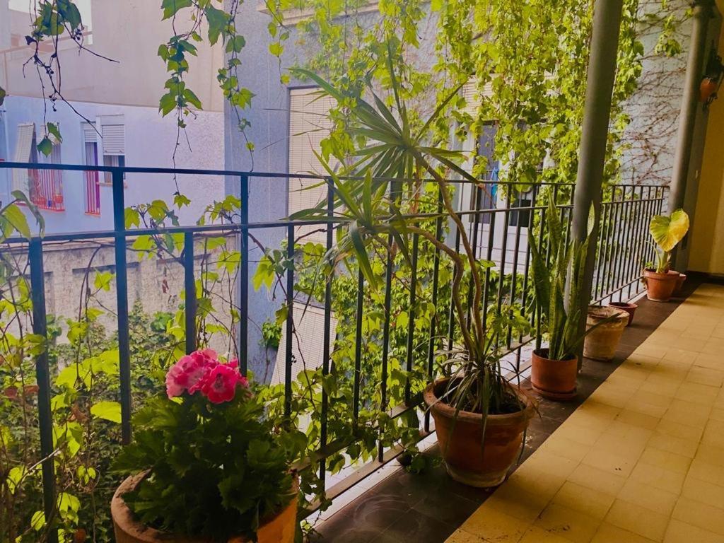 Innsevillaluxury Pilatos Appartement